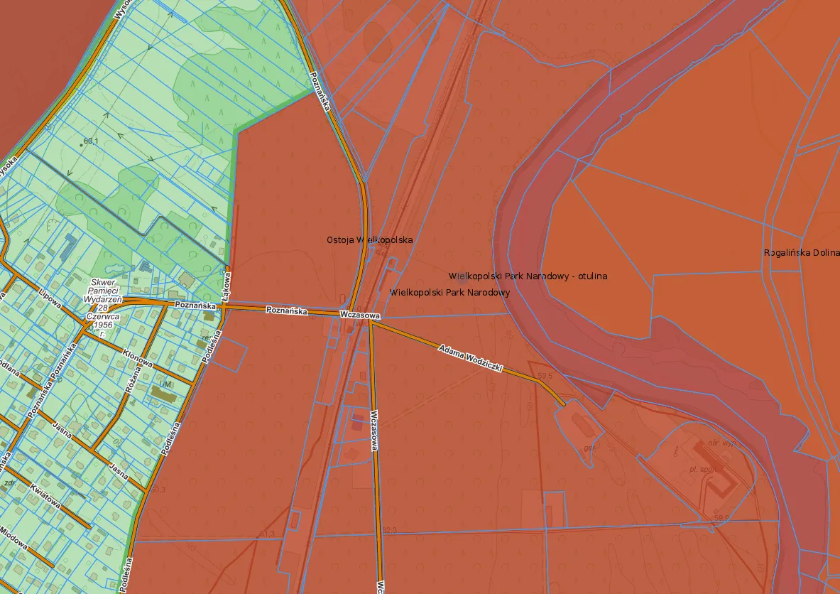 Ul. Wczasowa na tle Wielkopolskiego Parku Narodowego — ortofotomapa z geoportalu